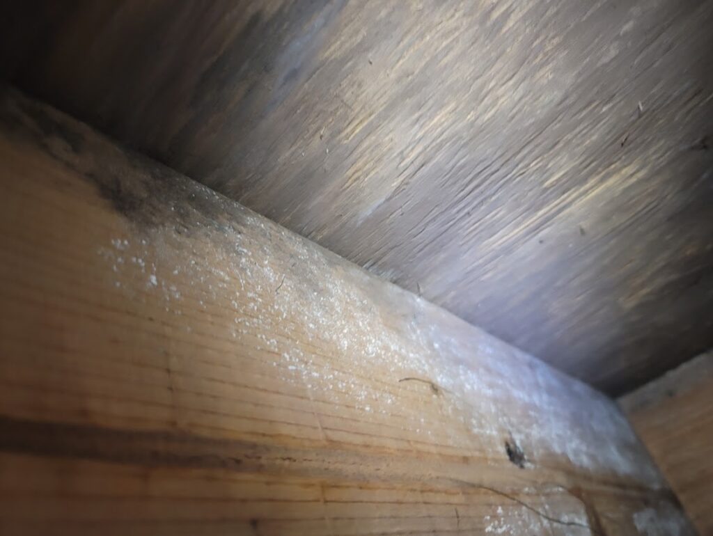 Mold and Mildew Growth, sealed crawl space, crawl space encapsulation, moisture in crawl space, mildew smell, mold smell