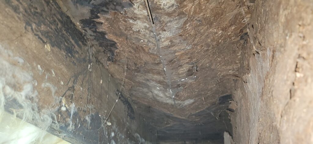 Rotted floor, moisture in crawl space, mold in crawl space, mold damage, sealed crawl space, crawl space encapsulation, vapor barrier, dehumidifier