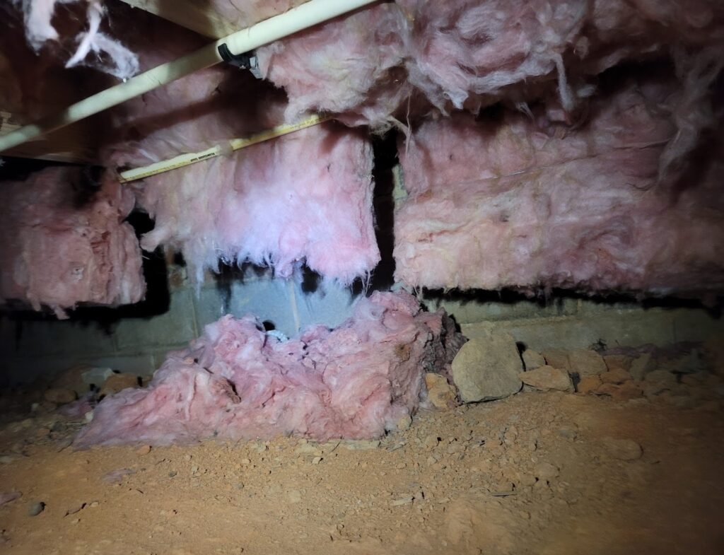 Picture of insulation hanging down from the ceiling in the crawl space due to snakes hunting mice in the insulation